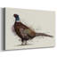 Pheasant Splash 1-Gallery Wrapped Canvas-43957672