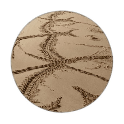 Tapis beige d'intérieur et d'extérieur Nature