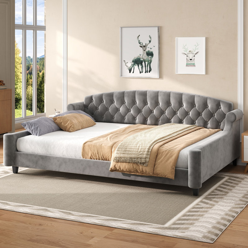 Lit de jour moderne capitonné Queen Size, lit rembourré de luxe, gris, Gris