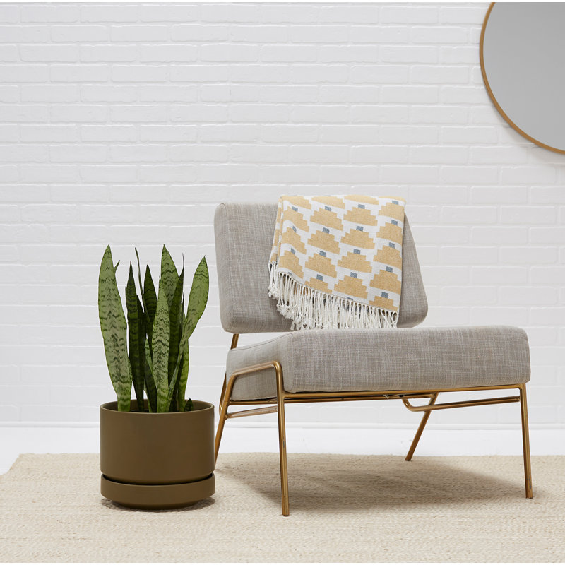 Pot à fleurs en céramique Byer, H 7,5 po x l 8,75 x P 8,75, Olive