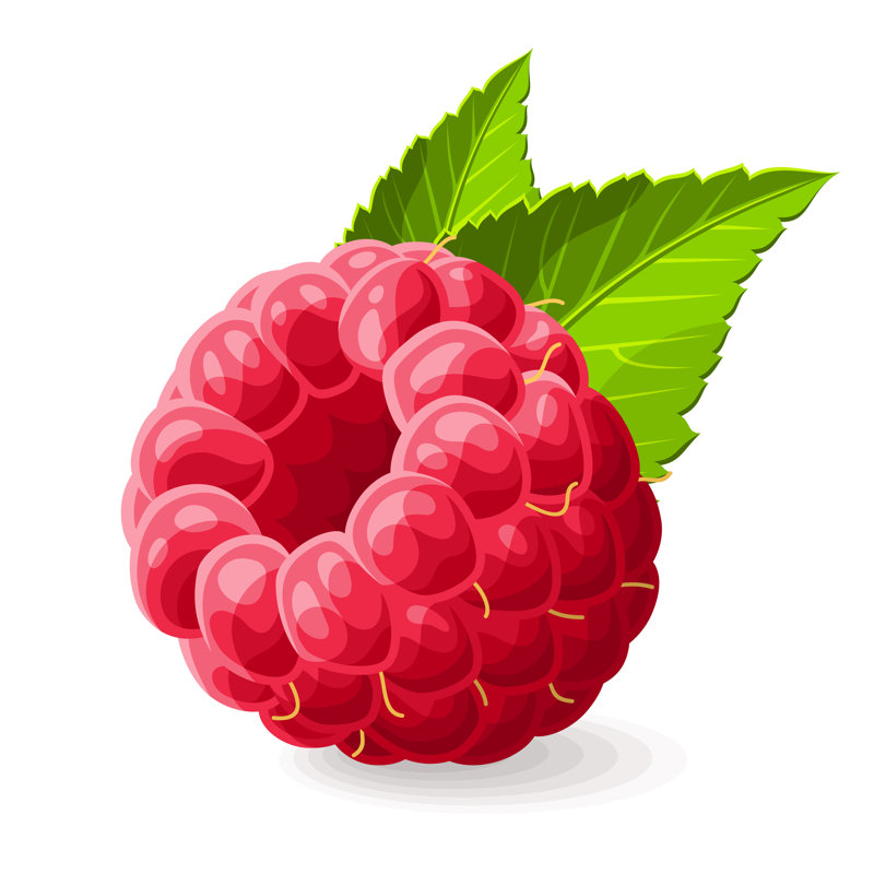 " Raspberry With A Leave " by Sashatigar, 12" H x 12" W