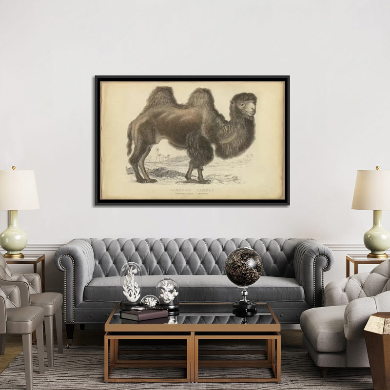 « mixte bactrian », reproduction sur toile, H 18 po x l 26 po x P 1,5 po, Toile encadrée noire, Pas de tapis