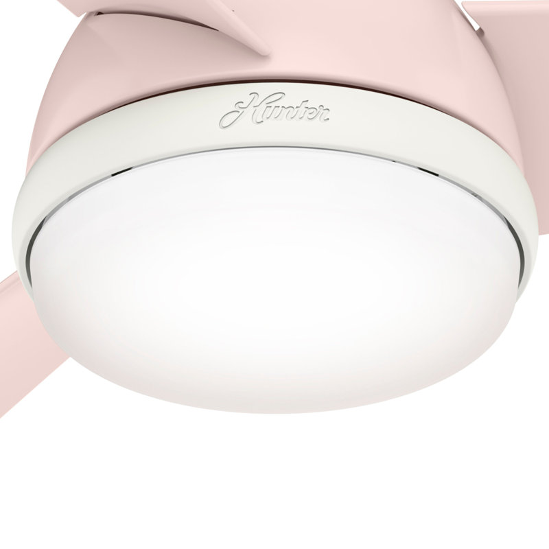 Ventilateur de plafond standard à 36 pales de 36 po à DEL avec télécommande et ensemble d'éclairage inclus Valda, Rosé