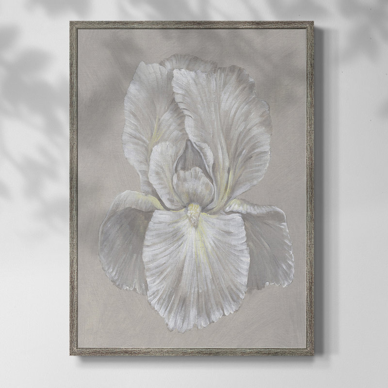 Iris blanc I, reproduction encadrée - bois massif, H 11 po x l 9 po