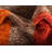 Harvest Abstract Indoor Rug-40277471