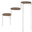 Plant Stand