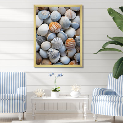 " Beach Photo Seashell Beauty V "