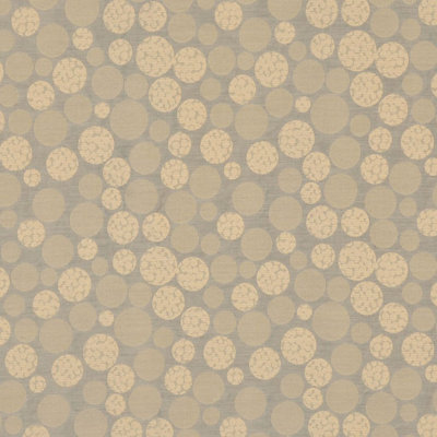 Allure Fabric