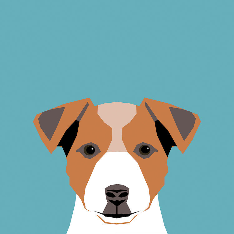Jack Russell Terrier, impression sur toile tendue, H 18 po x l 18 po x P 1,5 po, Toile tendue, Pas de tapis