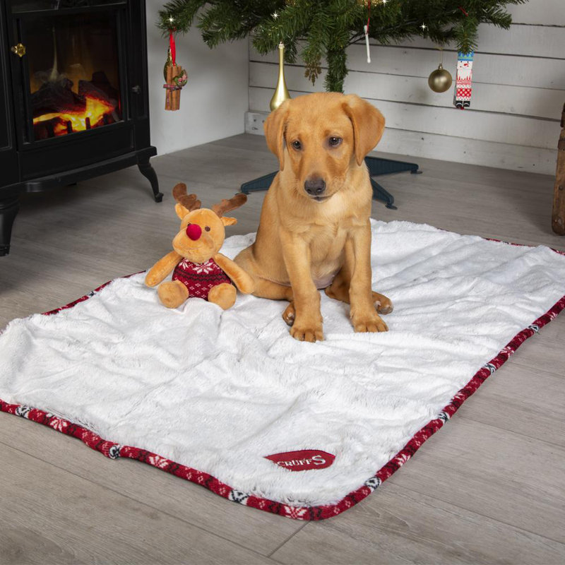 Santa Paws Polyester Pet Bed Accessory