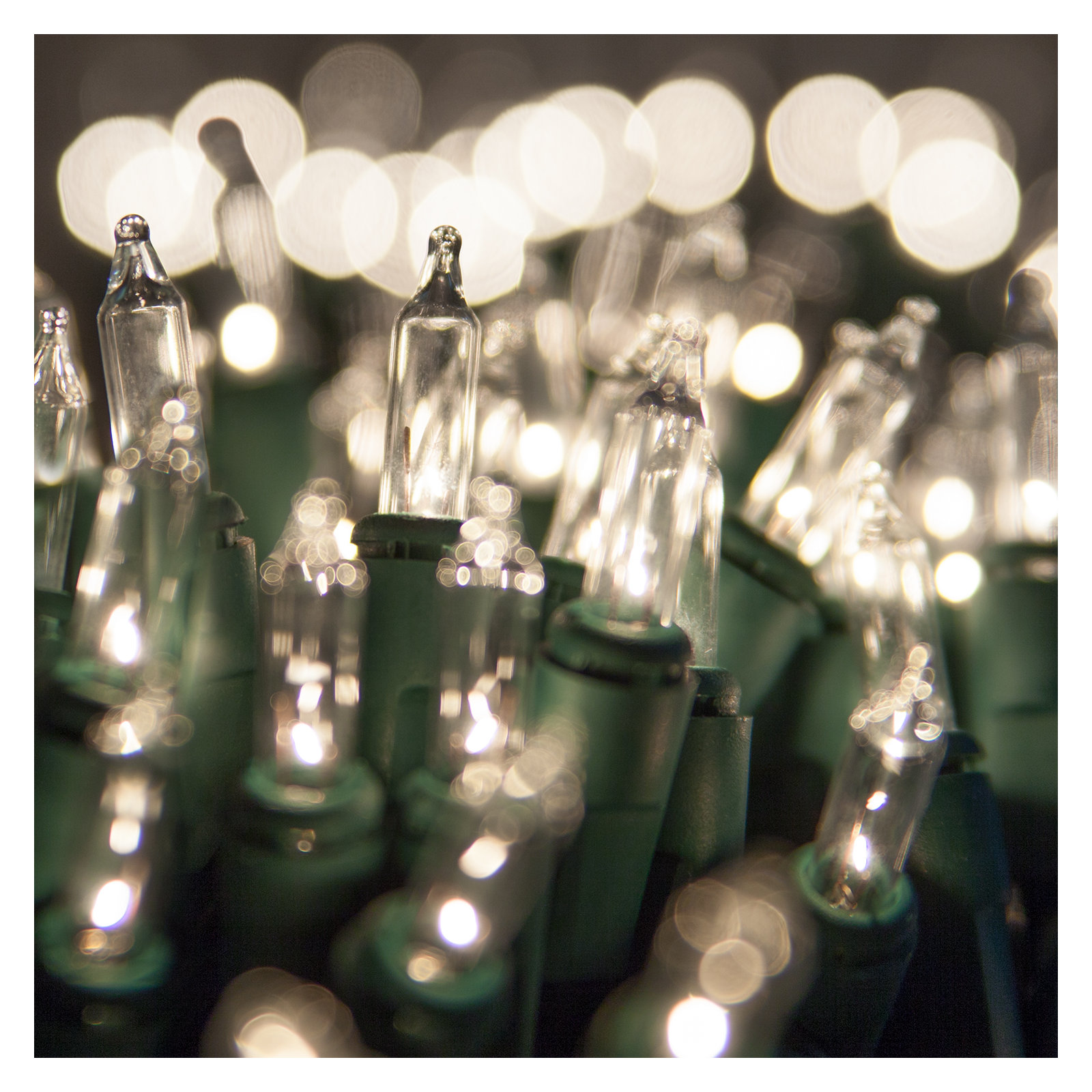 606'' String Lights, Clear