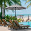 Traditional Parasol-2076115983