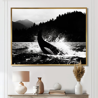 Orque éclaboussant dans l'eau, monochrome, décor d'art mural bord de mer