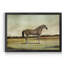 «A Strawberry Roan Hunter», reproduction d'art sur toile encadrée-1046155925-1046155930