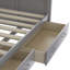 Twin Size Daybed with 2 Large Drawers-1495093757