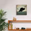 «Black Dog Swim» par Ryan Fowler, estampe numérique sur toile-1033365885
