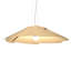 Fuchsia 1 - Light Pendant-68926129