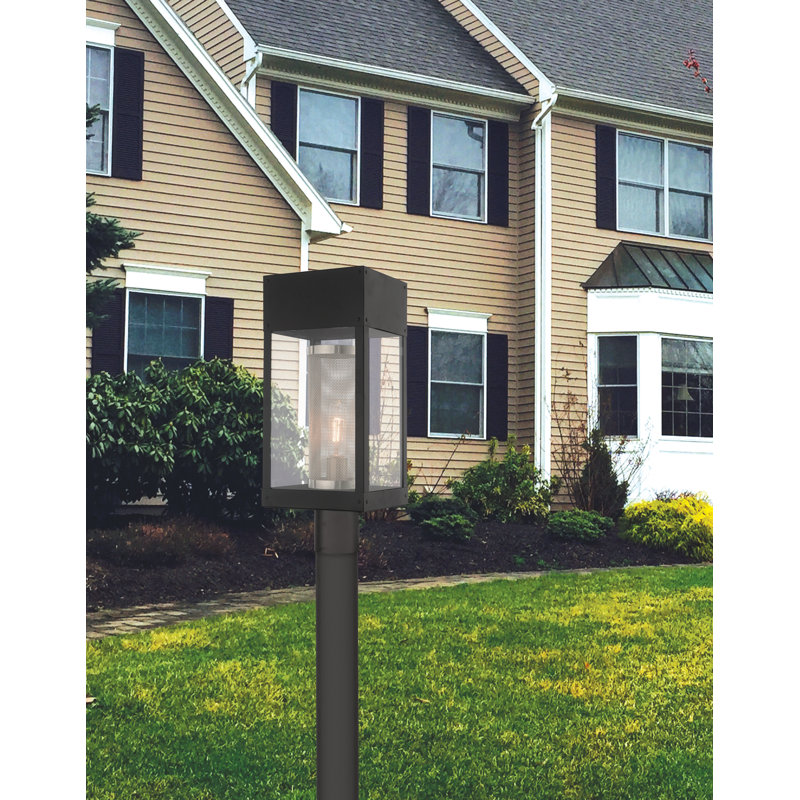 Araly Transparent Lantern Head