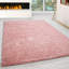 Adavia Shaggy Pink Rug-1891501048