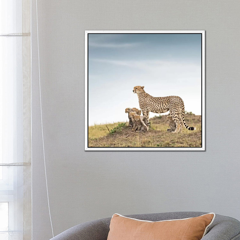 Colour Cheetah & Cubs by Klaus Tiedge - Print on Canvas, 66.04 cm H x 66.04 cm W, White Framed Canvas