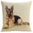 Beige/Brown German Shephard