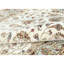 Oriental Area Rug-1285171902