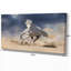 Cheval blanc andalou dans la poussière du désert - impression sur toile tendue-29490979