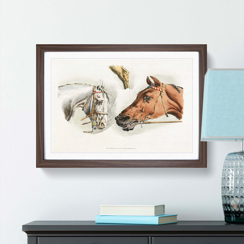 Illustrations of Horses by Henry Alken - Picture Frame Painting Print, 36cm H x 48cm W x 2cm D, Walnut Framed