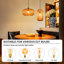 Allisha 1 - Light Bronze Unique/Statement Pendant