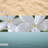 Beautifully Done Driftwood Vanity Tin Candle-104950196