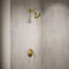Tone Pressure-Balancing Shower Faucet Trim-1904365640