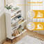Amillya 6 Pair Shoe Storage Cabinet