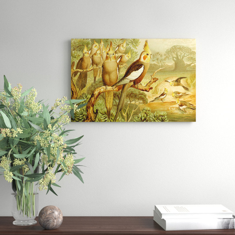 Vintage Cockatiel by Brehms Tierleben - Wrapped Canvas, 40cm H x 60cm W