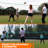 Hall of Games 20-ft Outdoor Volleyball and Badminton Net with Carrying Bag Accessories Set