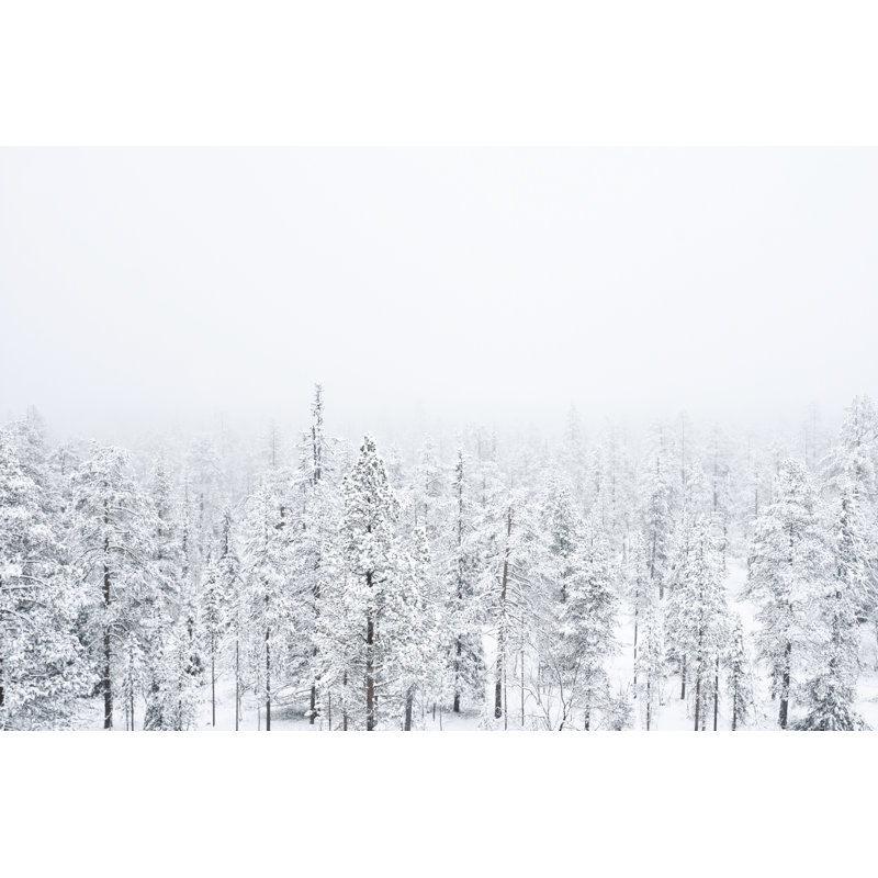 Snow Covered Forest 1 Piece Wrapped Canvas Wall Art, 61cm H x 91cm W x 3.8cm D