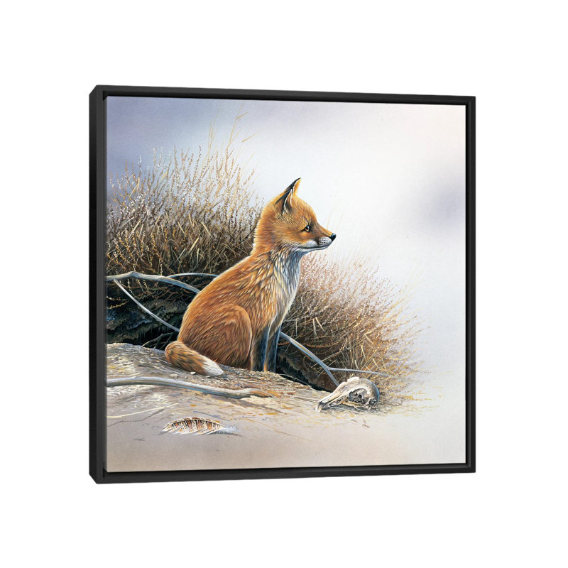 " Little Fox " by Jan Weenink, 18" H x 18" W x 1.5" D, Black Framed Canvas, No Matte