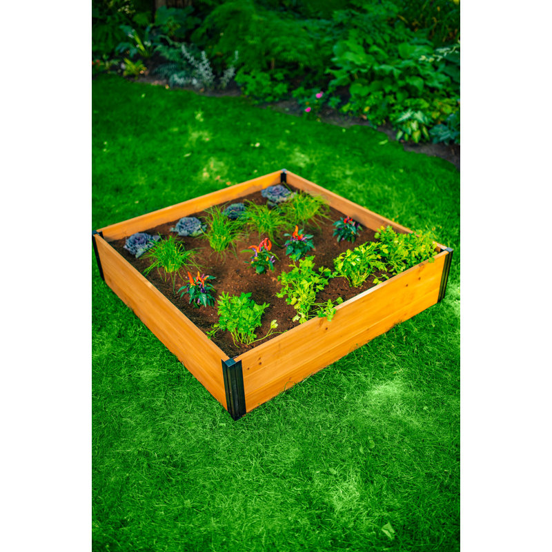 Mezza Raised Cedar Garden