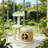 31" Cat Tree Tower With Scratching Posts