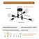 Coblitz 4-Light Sputnik Chandelier