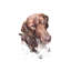 GSP II par EdsWatercolours - impression d'art graphique-54058694-54058692-54058691