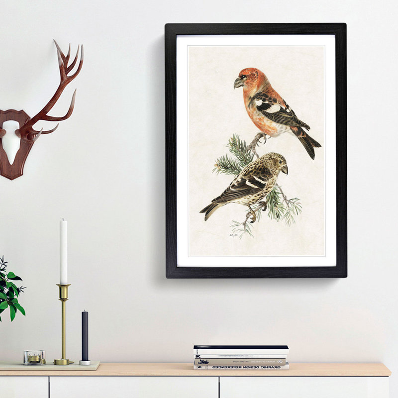 Crossbill Birds by Von Wright - Picture Frame Painting Print, Black Framed, 48cm H x 36cm W x 2cm D