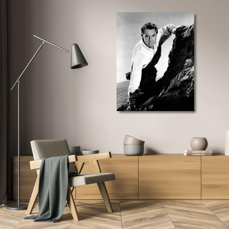 Hollywood Gallery, art photographique sur toile: Cary Grant, North By Northwest (64_489019), H 24 po x l 20 po
