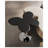 Modern Classic Simple Style Coffee Table