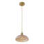 1-Lamp Amber Glass Dimmable Pendant Light