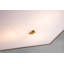 Mosaic Square 3-Light Flush In Gold-1135907402