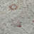 Machine Washable Indoor/Outdoor Xhevrie Gray Rug-895452766