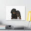 Couple de mignons teckels, reproduction d'art mural-217657188