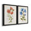 «Botanical I», ensemble de 2 reproductions d'art-271774482-271774463-272082547
