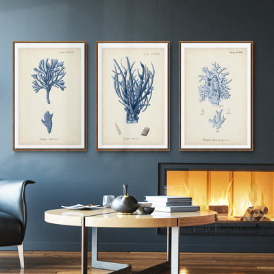 Corail antique en bleu marine IV, ensemble de 3 toiles encadrées