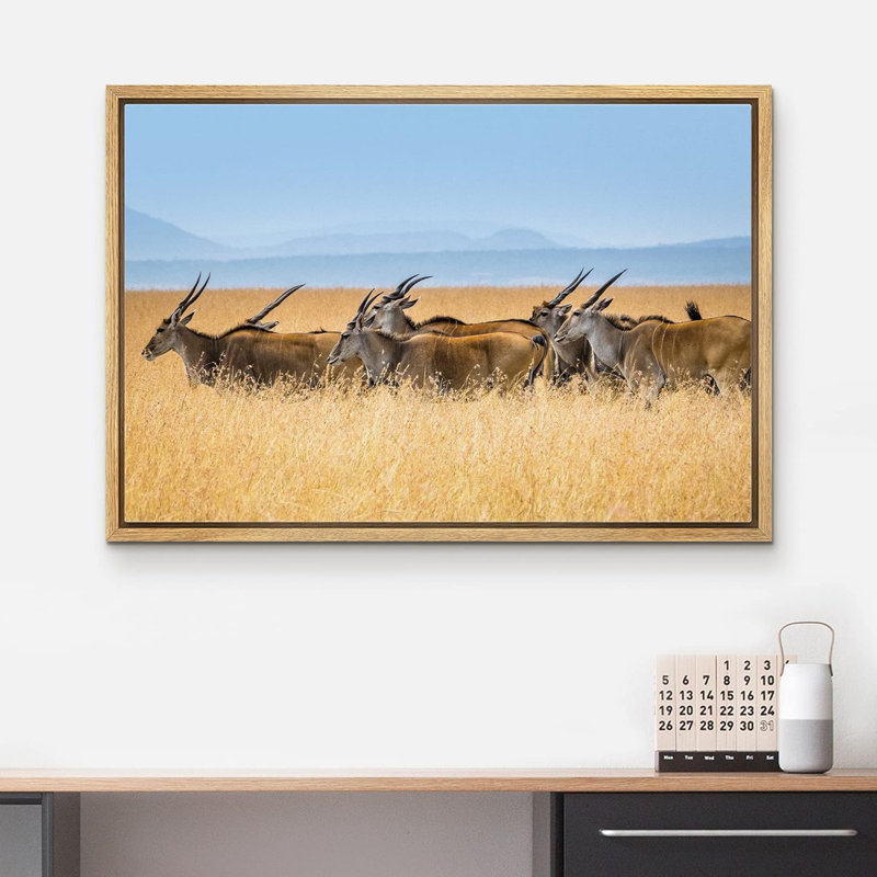 Wild Wild Safari Jungle Antelope Gazelle sur toile, Cadre naturel, H 24 po x l 36 po x P 1,5 po